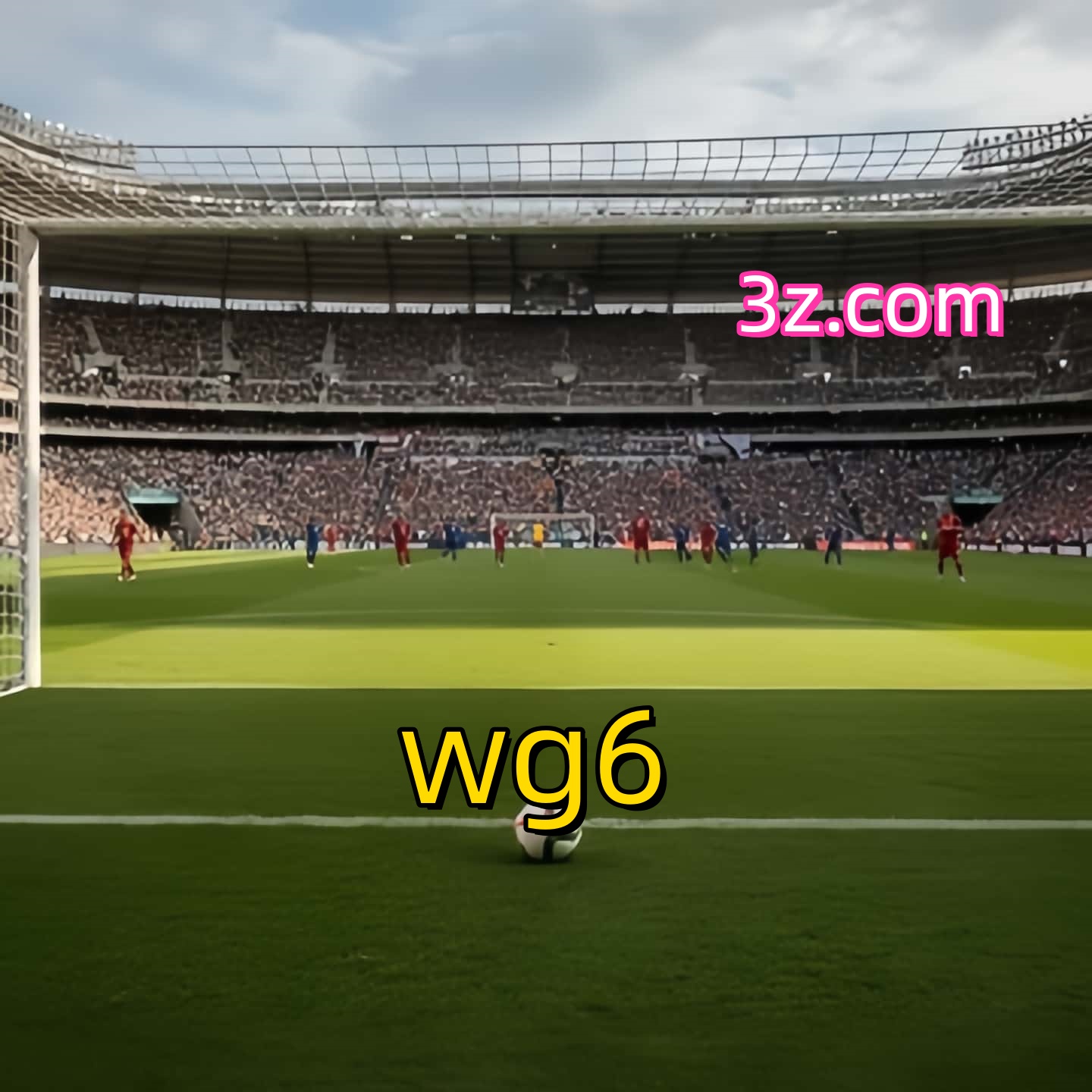 wg6