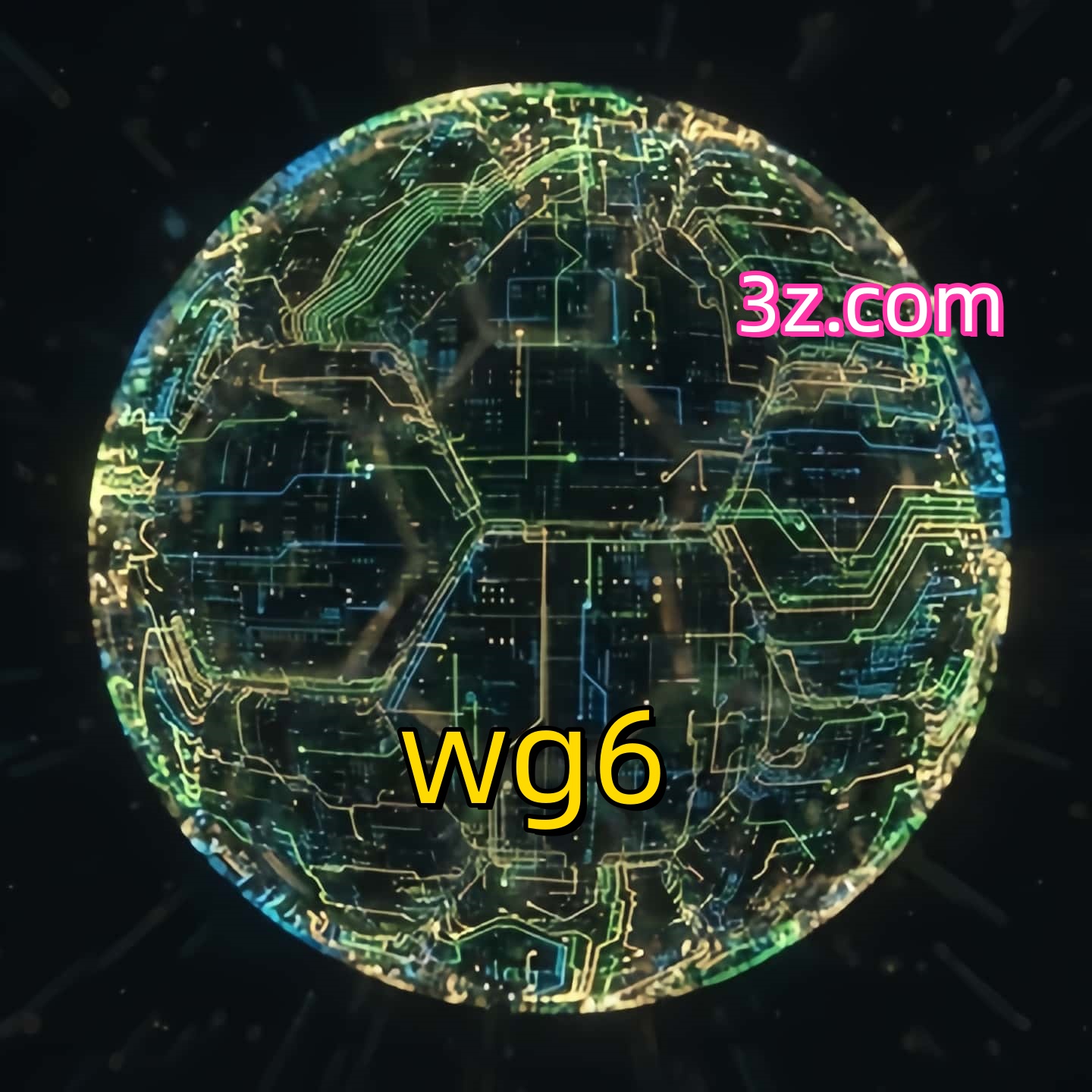 wg6
